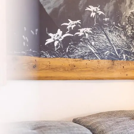 Kassnhof - Urlaub In Den Bergen Telfes im Stubai