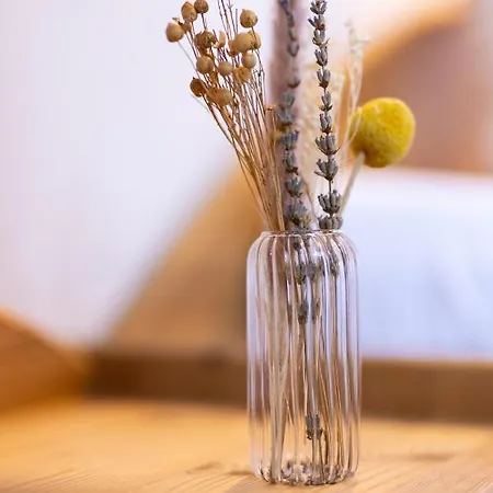 Kassnhof - Urlaub In Den Bergen Appartamento *